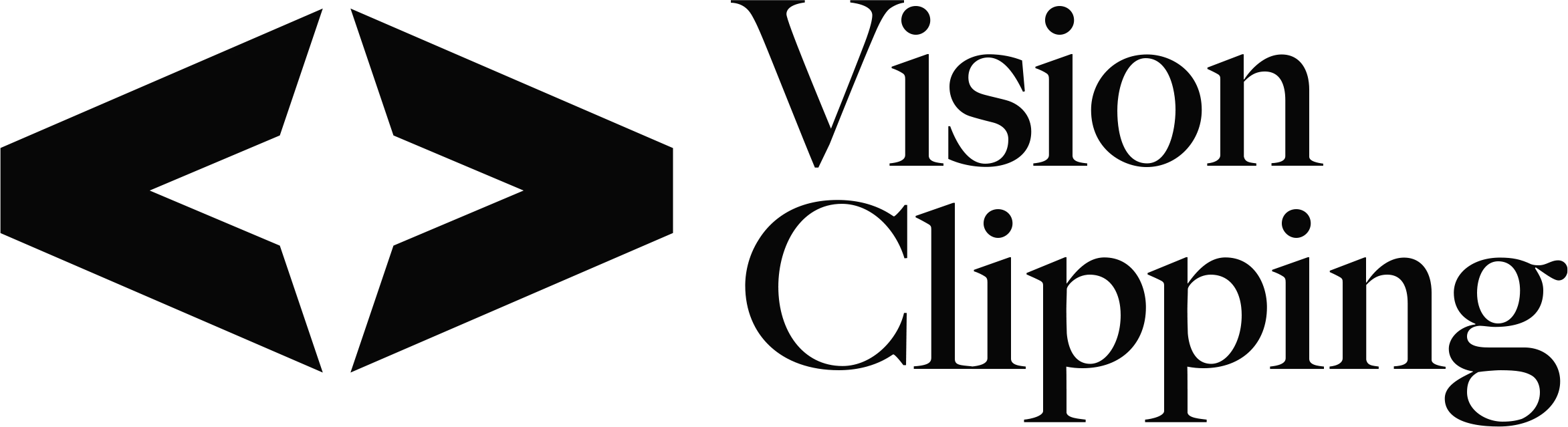 Vision Clipping